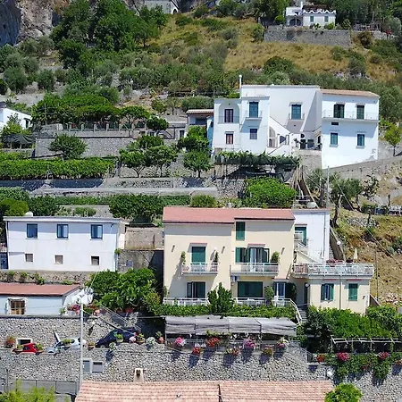 Degli Agrumi