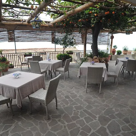 Degli Agrumi