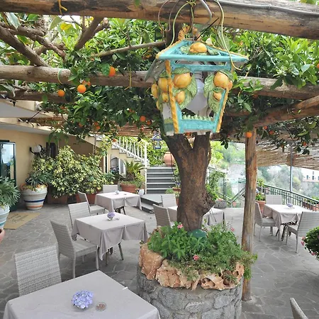 Villa Degli Agrumi Conca dei Marini